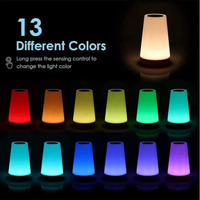 ZK30 USB Rechargeable 13 Color Changing Night Light Remote Control Touch RGB Night Lamp Dimmable Portable Table Bedside Lamp